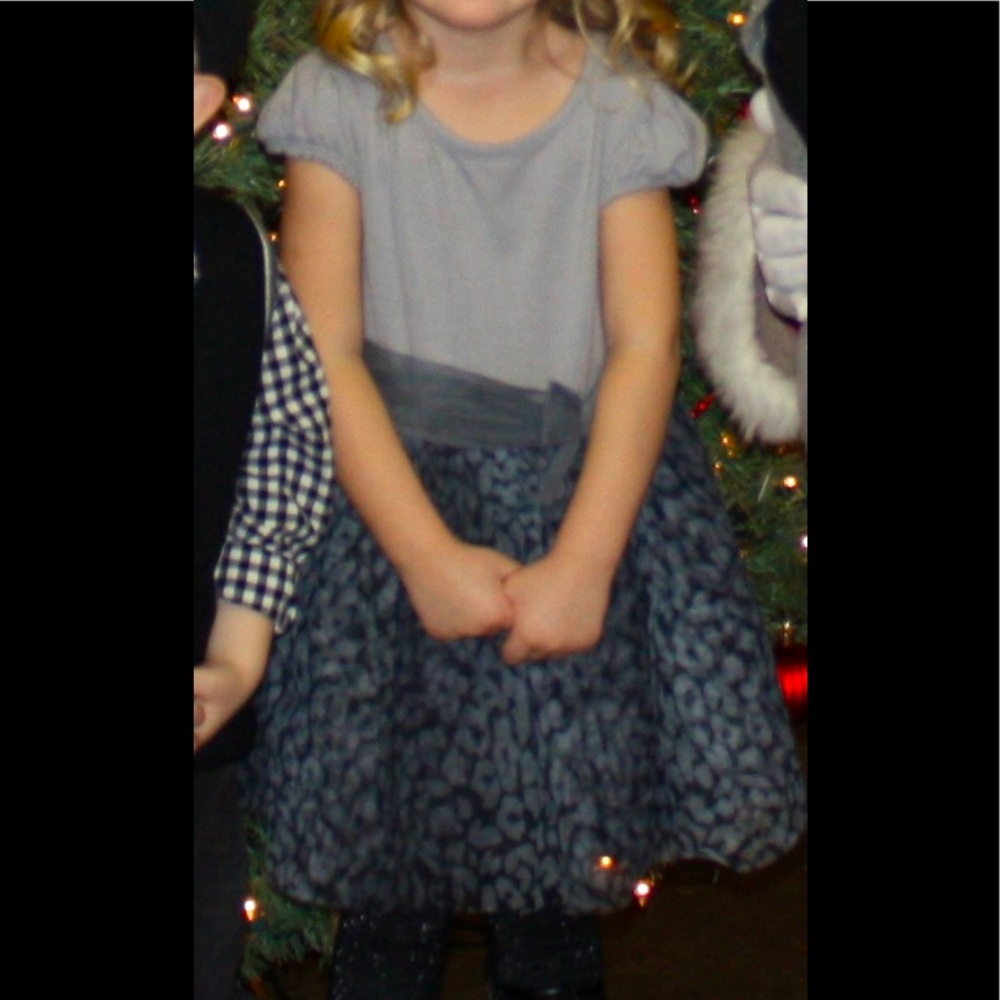 CHEROKEE gray dress tulle lined tulle skirt